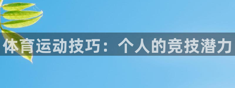 vsport体育官网下载招商：体育运动技巧：个人的竞