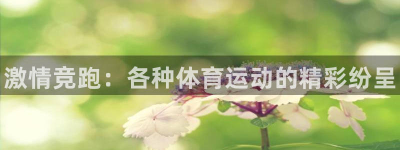 vsport体育官方正版app官网：激情竞跑：各种体
