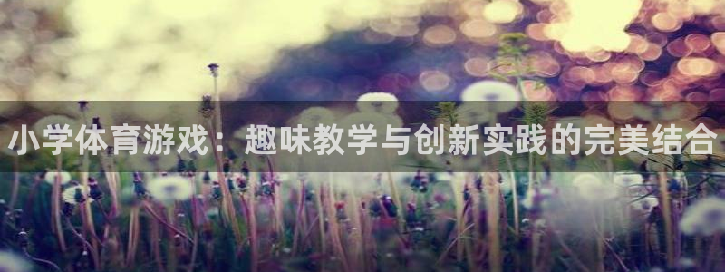 vsport体育官网下载平台是正规平台吗安全吗：小学体育游戏