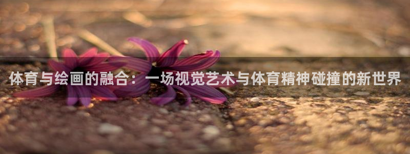 vsport体育官方正版app娱乐是那个系列的台子：