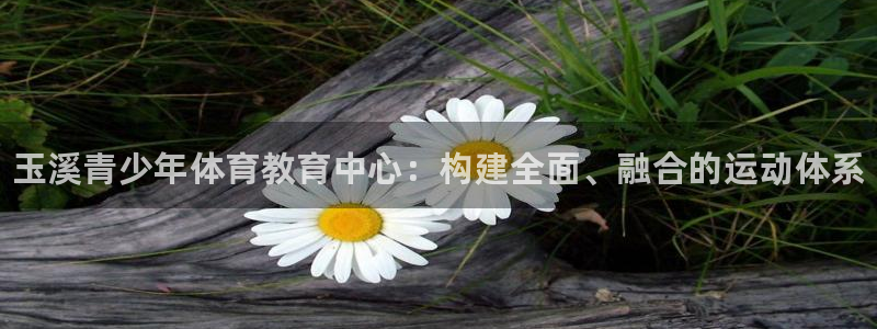 vsport体育官方正版app集团：玉溪青少年体育教