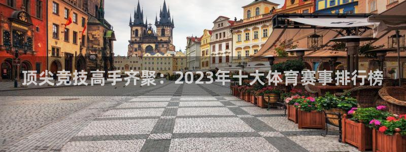 vsport体育官网下载注册：顶尖竞技高手齐聚：2023年十