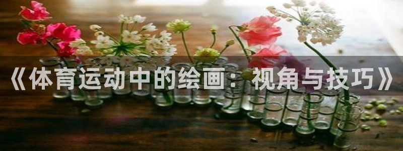 vsport体育官方正版app娱乐网站：《体育运动中