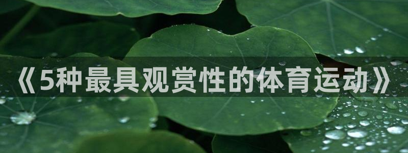 vsport体育官网下载平台注册要钱吗是真的吗：《5