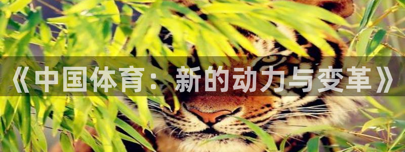 vsport体育官方正版app娱乐代理怎么样：《中国