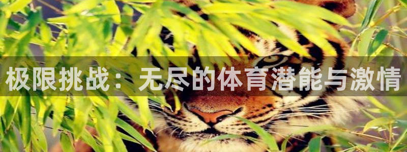 vsport体育官网下载招商电话是多少号码：极限挑战