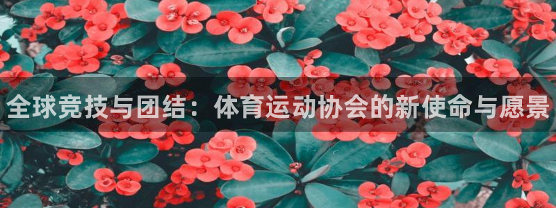 vsport体育官方正版app集团logo：全球竞技