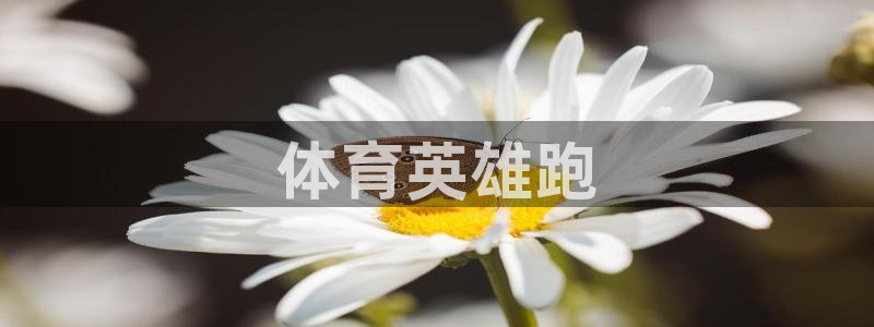 vsport体育官方正版app五金厂：体育英雄跑