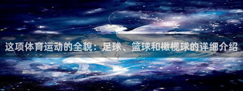 vsport体育官方正版app集团logo：这项体育运动的全