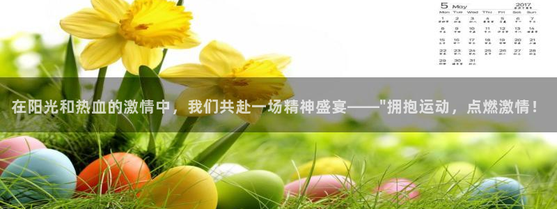 vsport体育官网下载平台APP：在阳光和热血的激