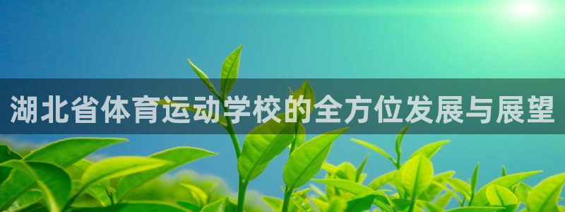vsport体育官方集团官网：湖北省体育运动学校的全