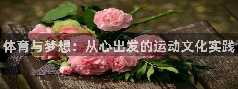 vsport体育官方正版app五金厂：体育与梦想：从心出发的