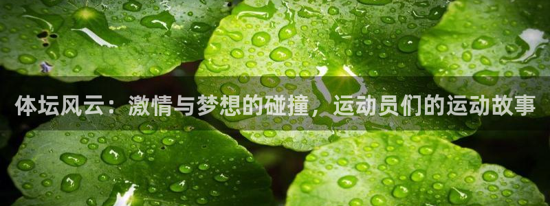 vsport体育官网下载平台假的吗是真的吗：体坛风云