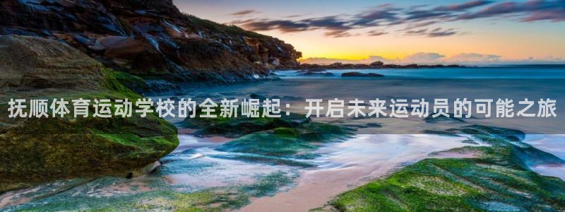 海南vsport体育官网下载：抚顺体育运动学校的全新崛起：开
