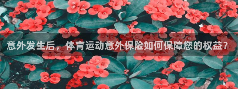 vsport体育官方正版app集团E.ON：意外发生