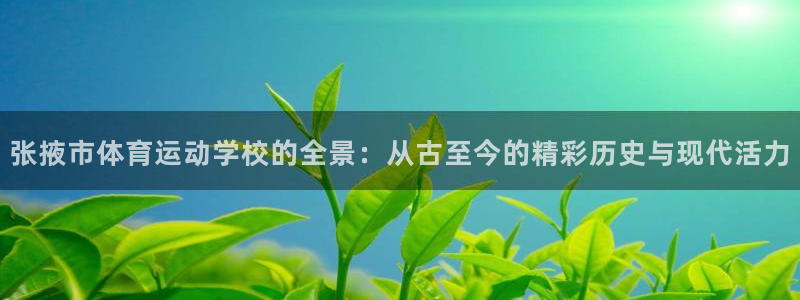 vsport体育官方正版app开户：张掖市体育运动学