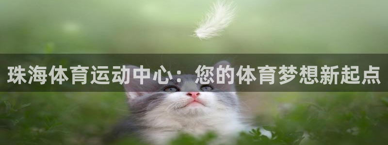 vsport体育官网下载平台注册流程图：珠海体育运动