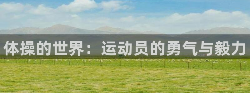 vsport体育官方正版app娱乐网站