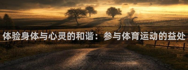 vsport体育官方平台体育：体验身体与心灵的和谐：参与体育