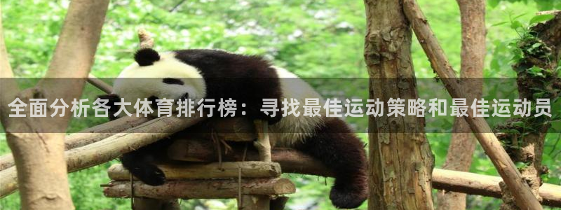 vsport体育官网下载平台注册流程视频：全面分析各大体育排