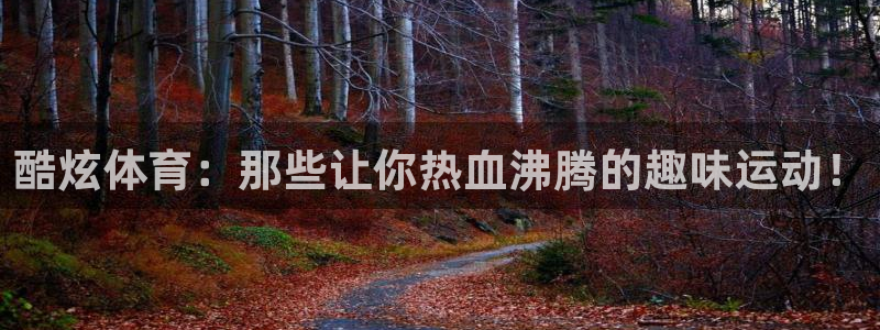 vsport体育官方正版app官网