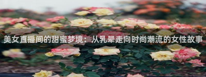 火凤直播篮球免费观看