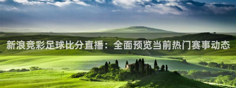 火凤直播体育足球