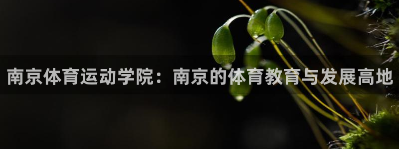 Vsport体育官网