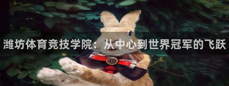 vsport体育阿根廷