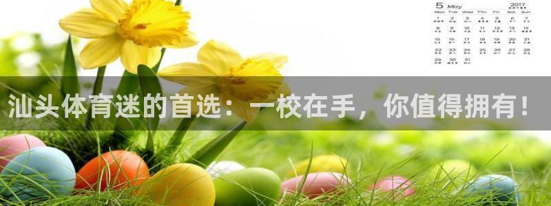 Vsport体育官网