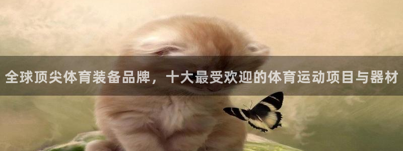 vsport体育在线官网阿根廷