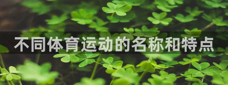 vsport体育在线官网阿根廷