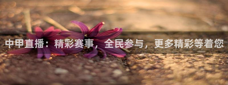 火凤直播体育直播：中甲直播：精彩赛事，全民参与，更多精彩等着您